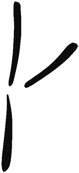 Image of the occurrence